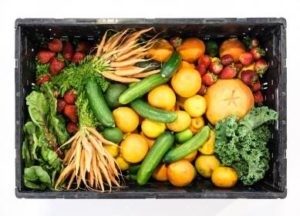 Vegetable Box