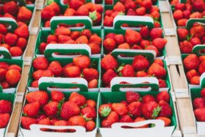 strawberries-2-12-16