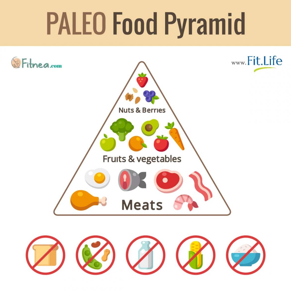 All About The Paleo Diet Liv s Apothecary Health Clinic